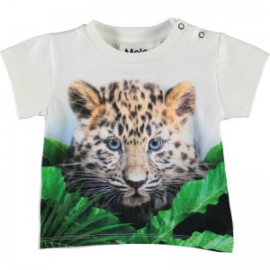 Camiseta Emilio - Molo Camiseta Emilio - Molo