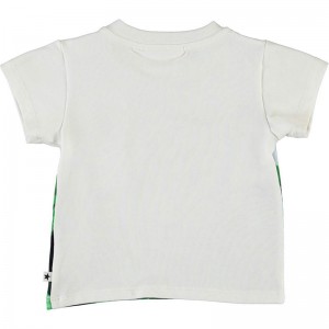 Camiseta Emilio - Molo Camiseta Emilio - Molo