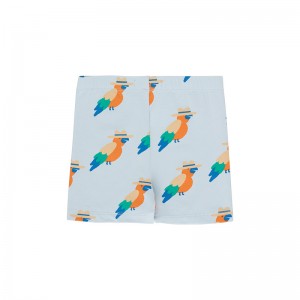 Short Papagayo - Tinycottons Short Papagayo - Tinycottons