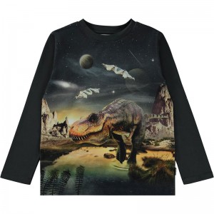 Camiseta Reif - Molo Camiseta Reif - Molo
