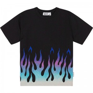 Camiseta Riley - Molo Camiseta Riley - Molo