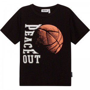 Camiseta Riley - Molo Camiseta Riley - Molo