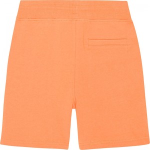 Short Alw - Molo