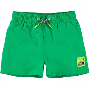 Short Niko Solid - Molo