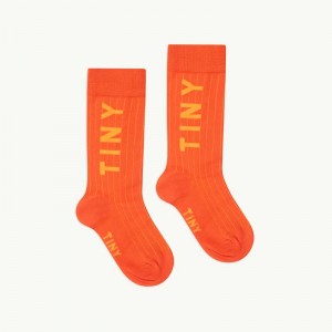 Calcetines Medianos Tiny - Tinycottons Calcetines Medianos Tiny - Tinycottons